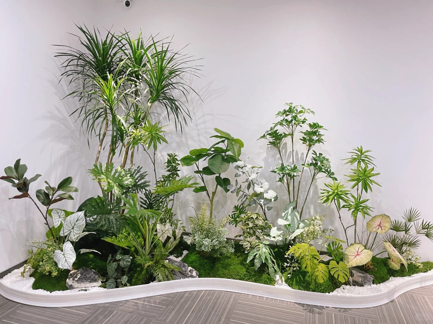 了解宁波镇海盆景出租价格，看这一篇！